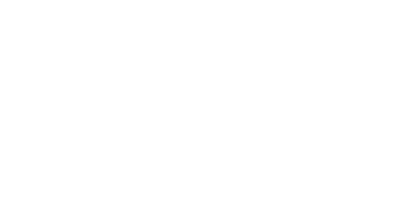 White Bird Travel